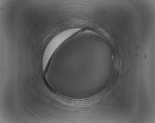 X0000082700027200702091734