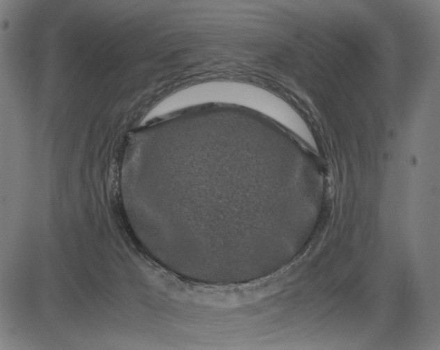 X0000082700029200702091734