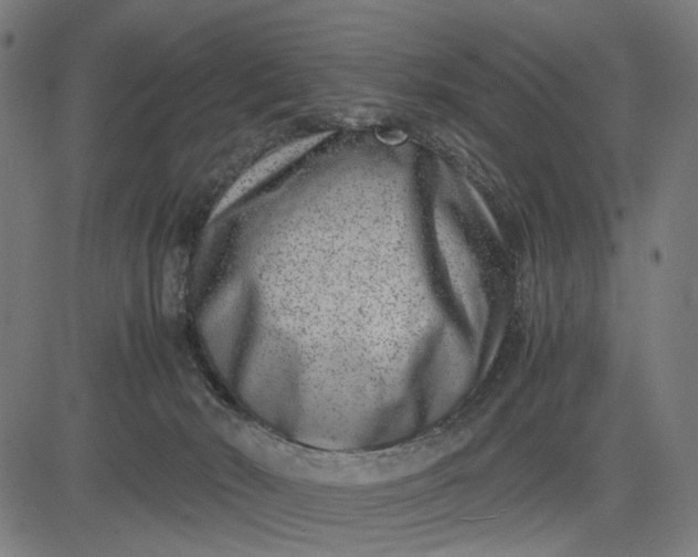 X0000082700030200702091734