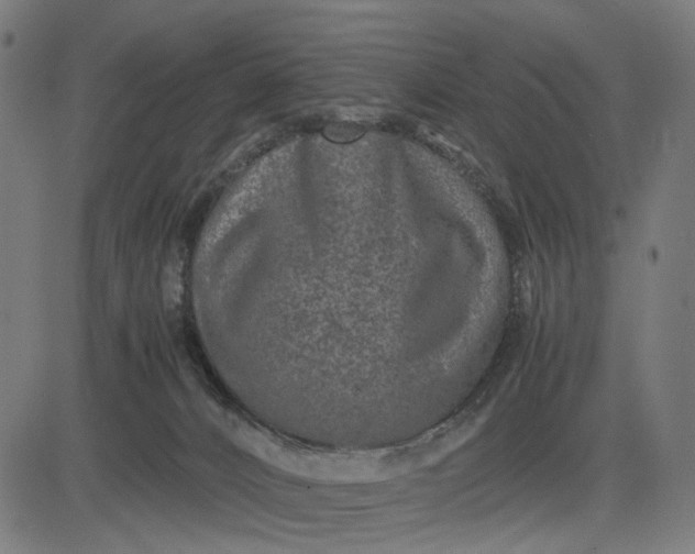 X0000082700032200702091734