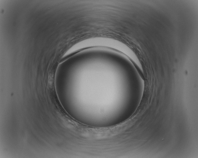 X0000082700033200702091733