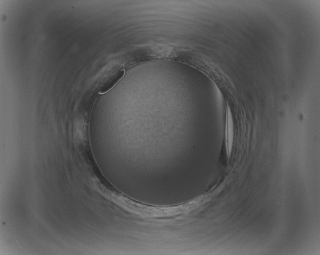 X0000082700035200702091733