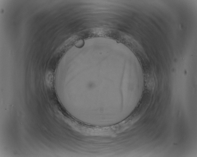 X0000082700036200702091733