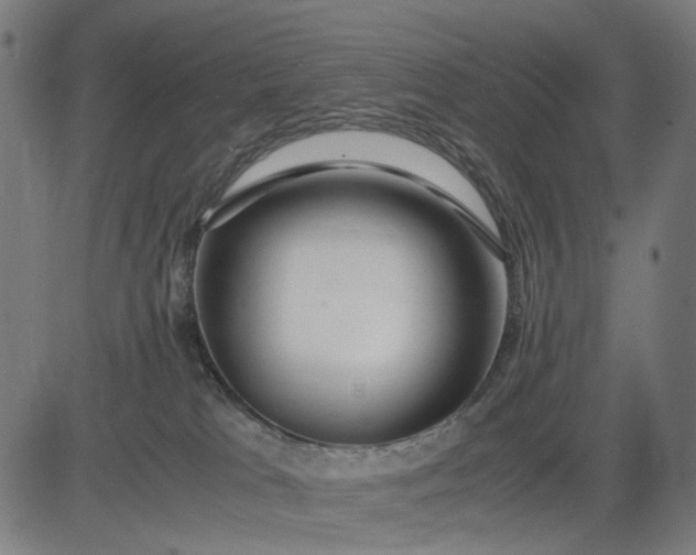 X0000082700037200702091733