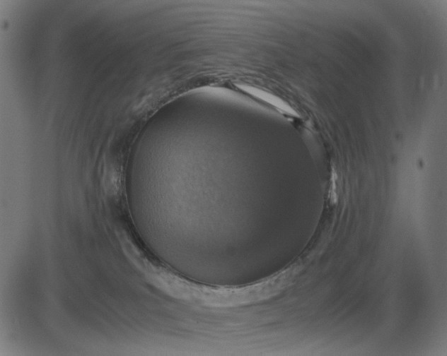 X0000082700039200702091733