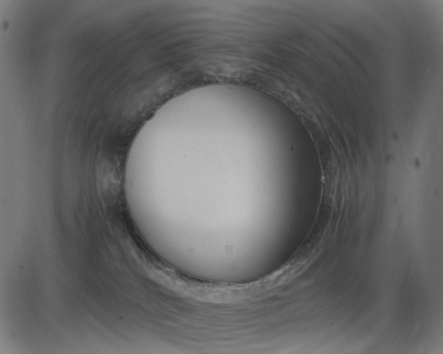 X0000082700040200702091733