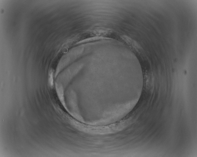 X0000082700042200702091733