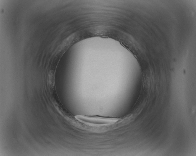 X0000082700044200702091733