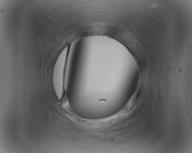 X0000082700045200702091733