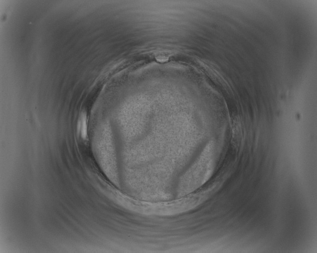 X0000082700046200702091733