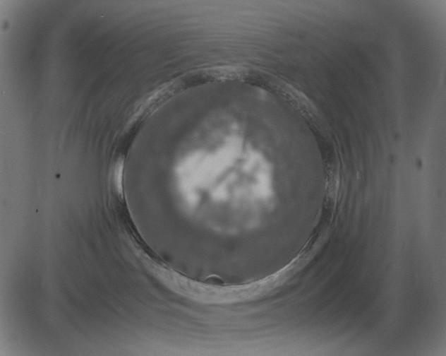 X0000082700047200702091733