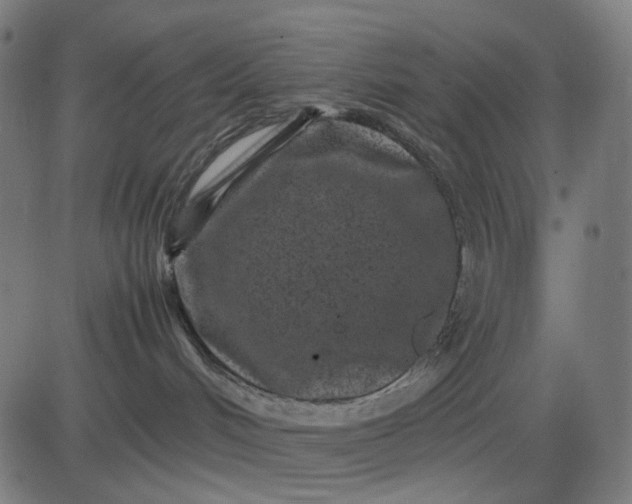 X0000082700048200702091733