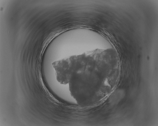 X0000082700049200702091732