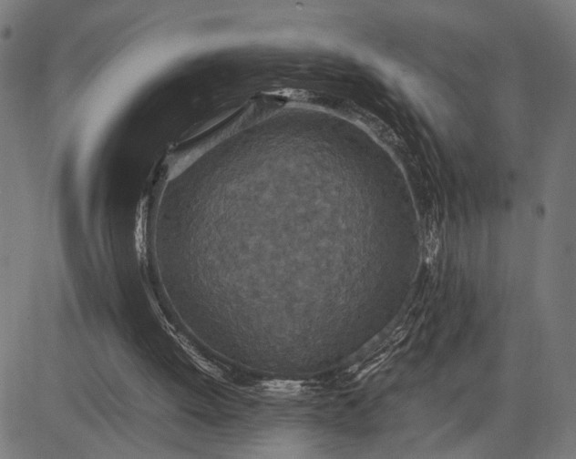 X0000082700052200702091733