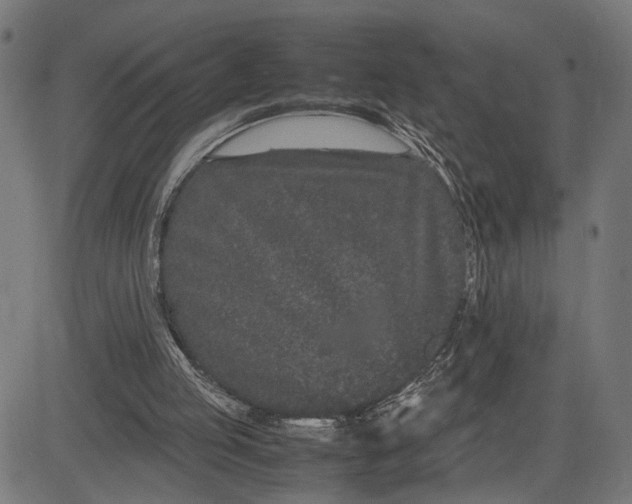 X0000082700053200702091733