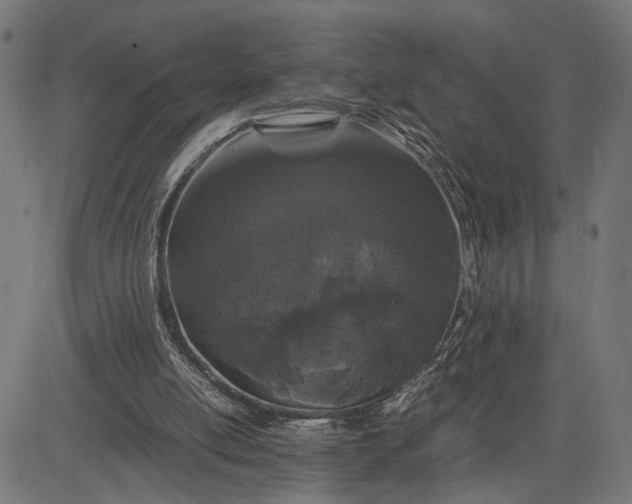 X0000082700054200702091733