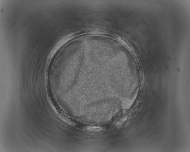 X0000082700055200702091733