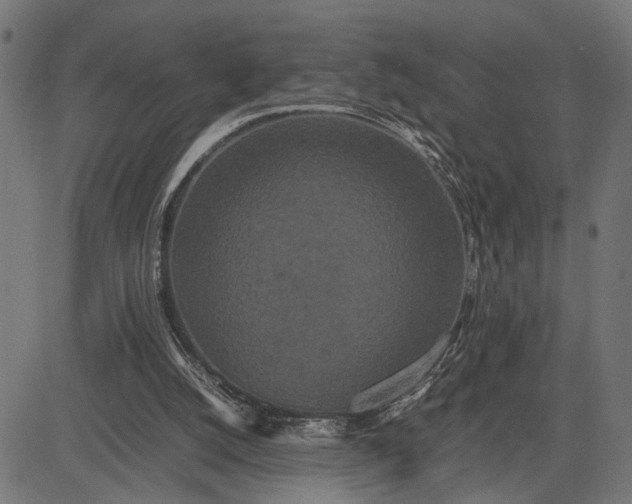 X0000082700056200702091733