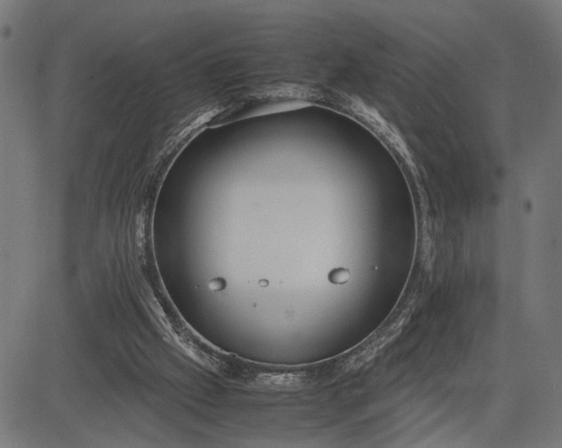 X0000082700057200702091733