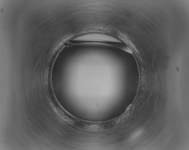 X0000082700058200702091733