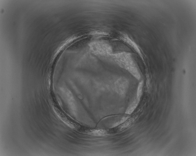 X0000082700059200702091733