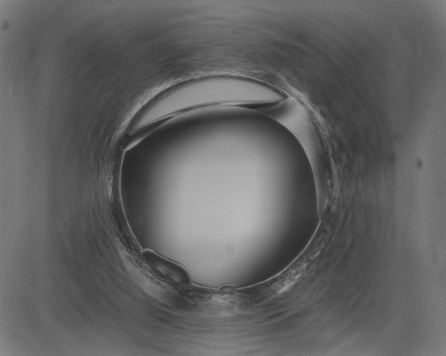 X0000082700060200702091733