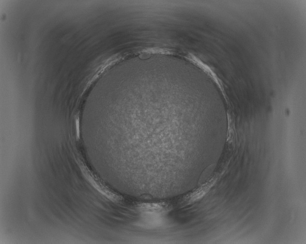 X0000082700061200702091733