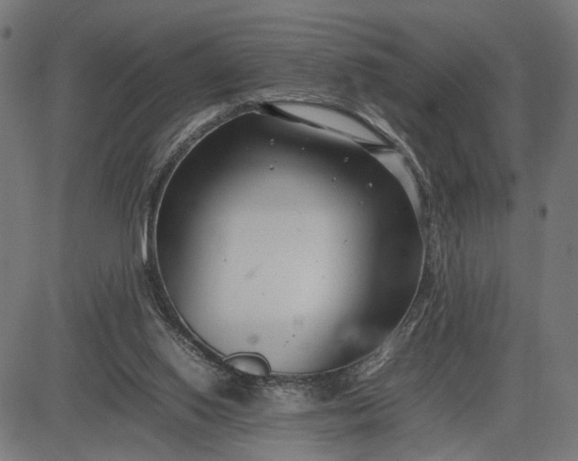 X0000082700062200702091733