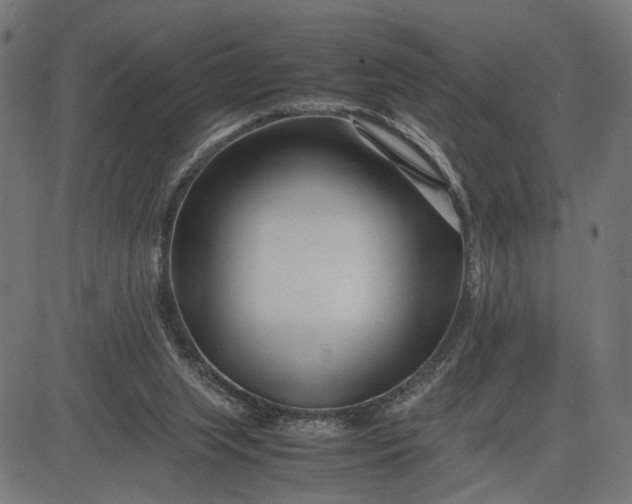 X0000082700063200702091733