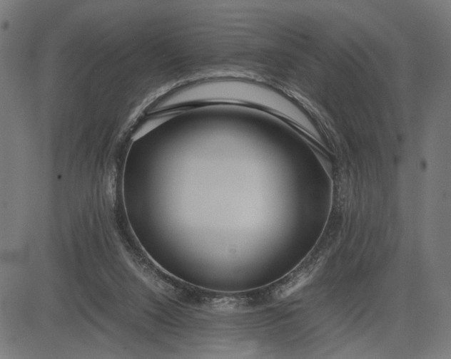 X0000082700064200702091733