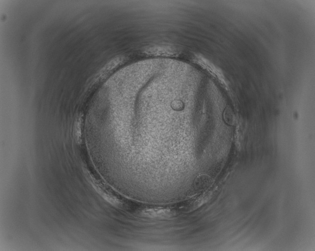 X0000082700065200702091733