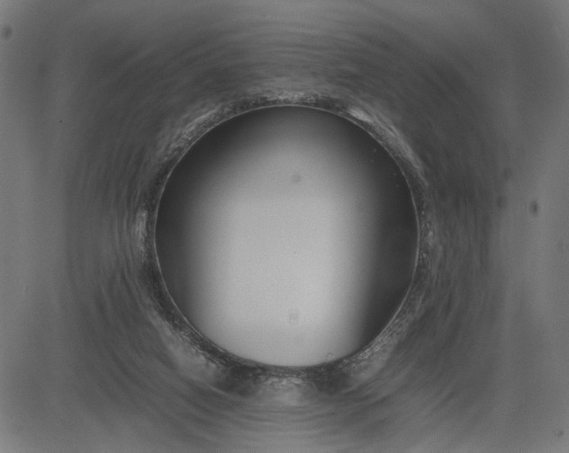 X0000082700066200702091733