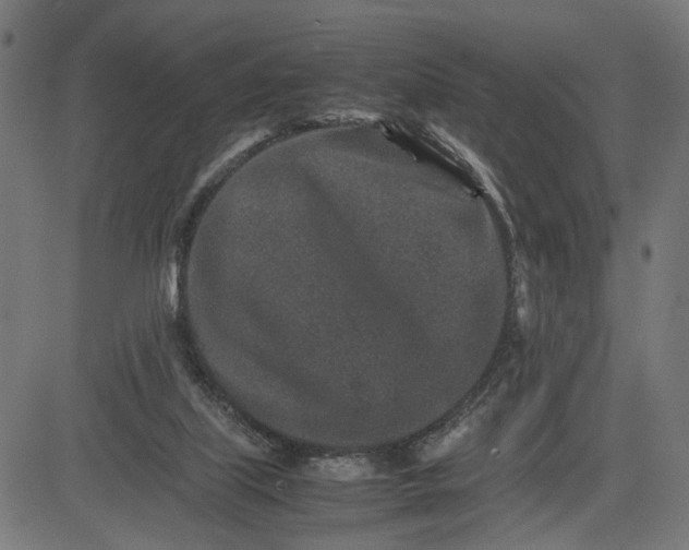 X0000082700067200702091733