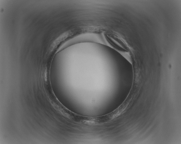 X0000082700068200702091733