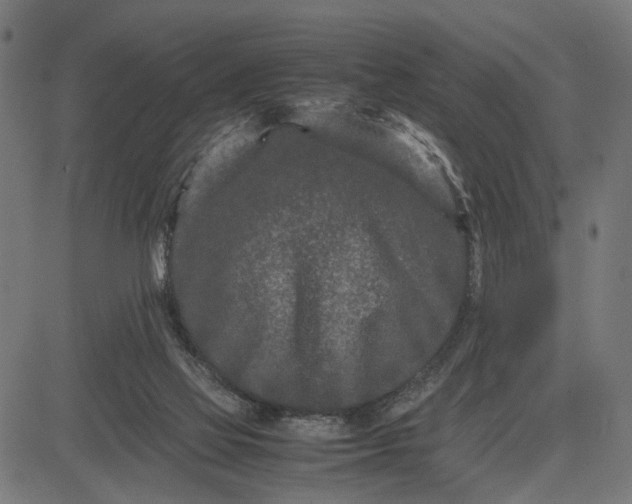 X0000082700069200702091733