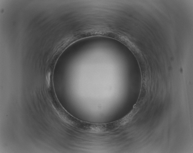 X0000082700070200702091733