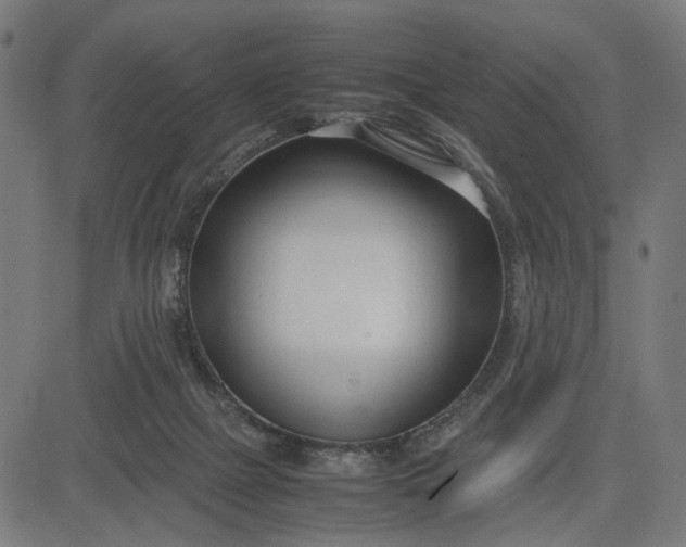 X0000082700073200702091733