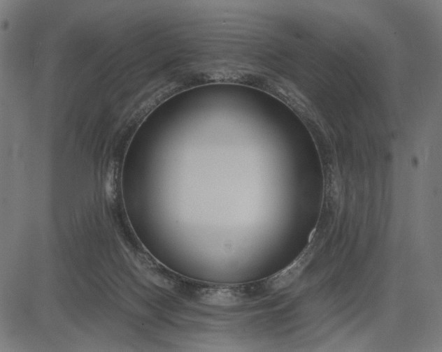 X0000082700074200702091733