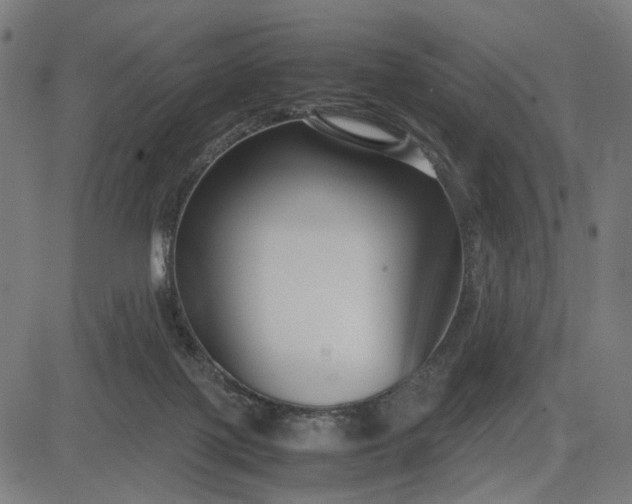 X0000082700075200702091733