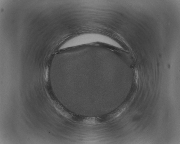 X0000082700076200702091733