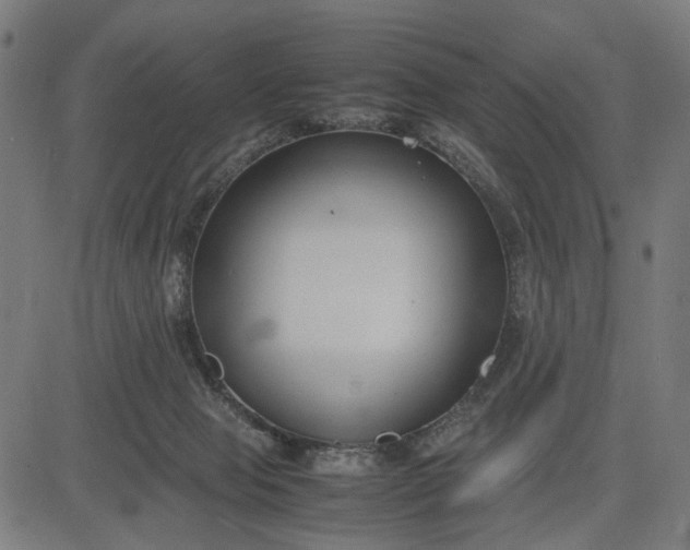 X0000082700077200702091733