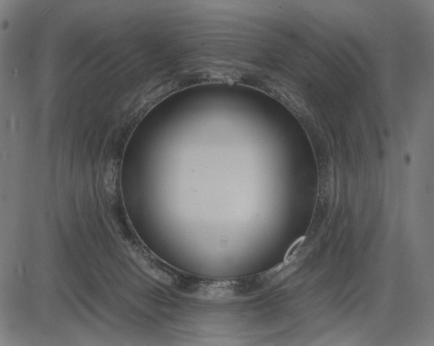 X0000082700078200702091733