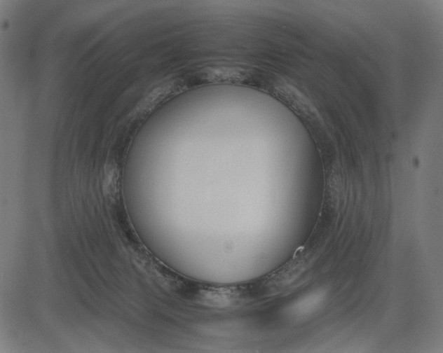 X0000082700079200702091733