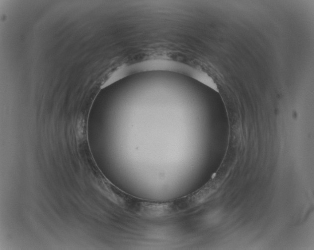 X0000082700081200702091733