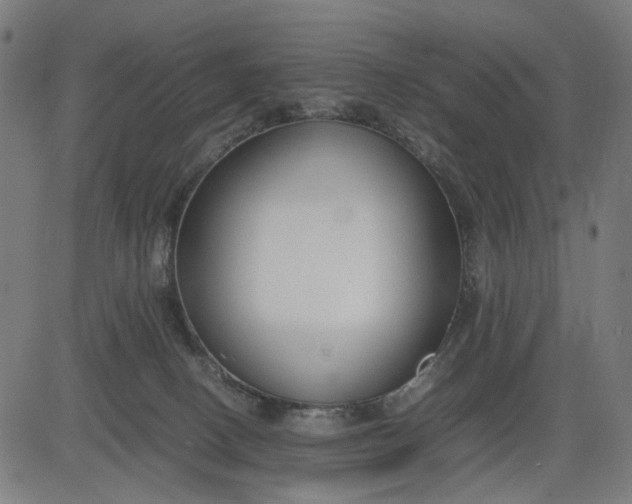 X0000082700082200702091733