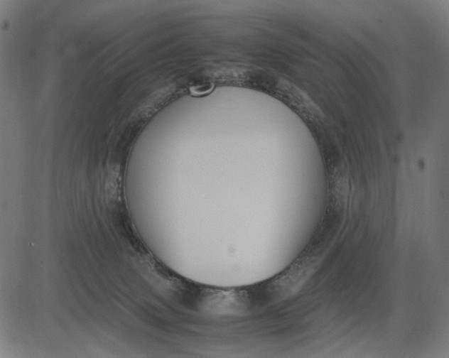 X0000082700083200702091733