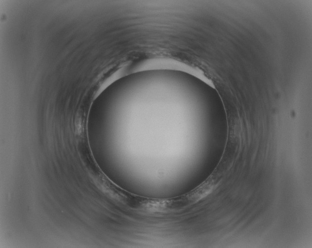 X0000082700084200702091733