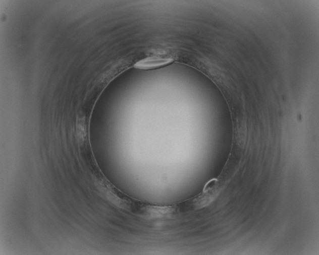 X0000082700085200702091733