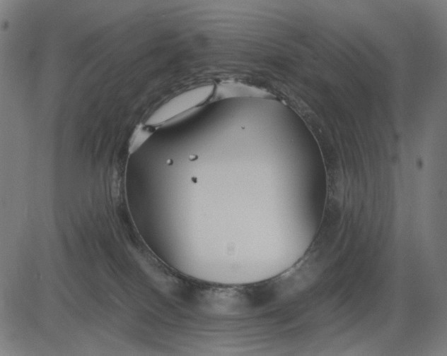 X0000082700086200702091733