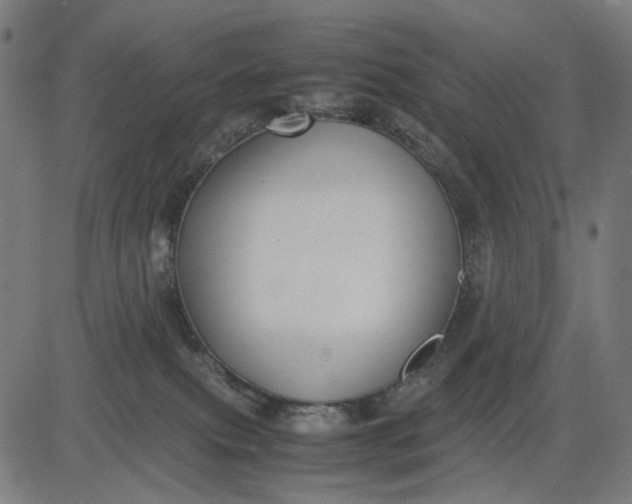 X0000082700087200702091733